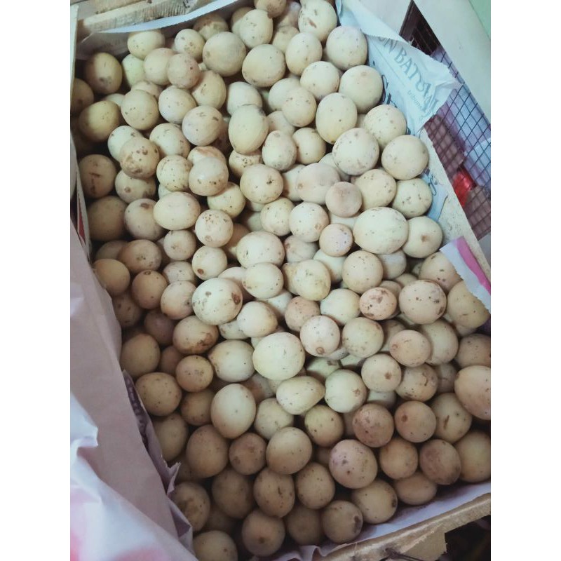 

duku jambi 500 gram