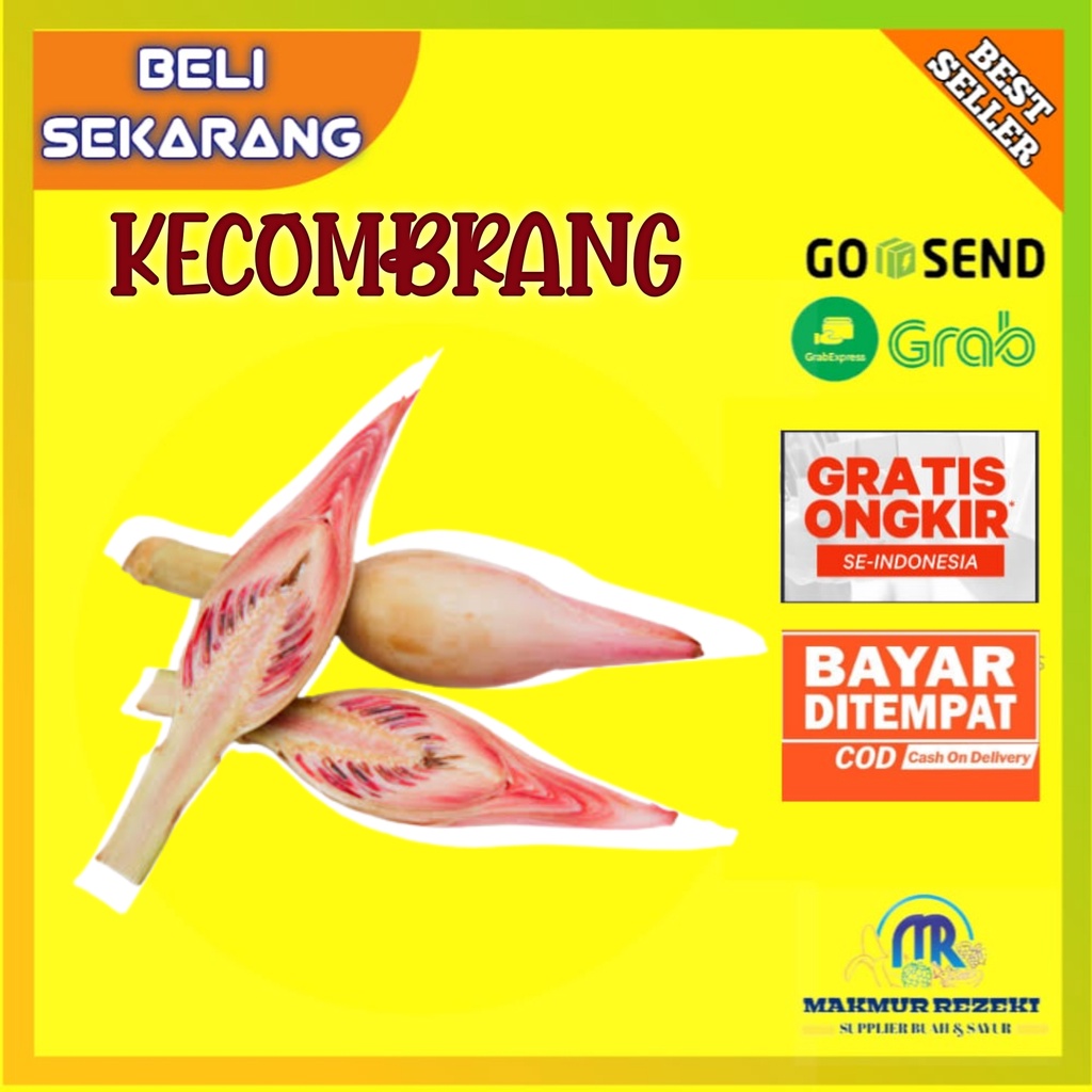 

KECOMBRANG SEGAR 250 GRAM