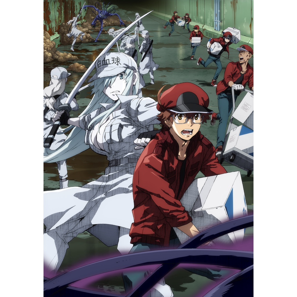 Hataraku Saibou Black Subtitle Indonesia
