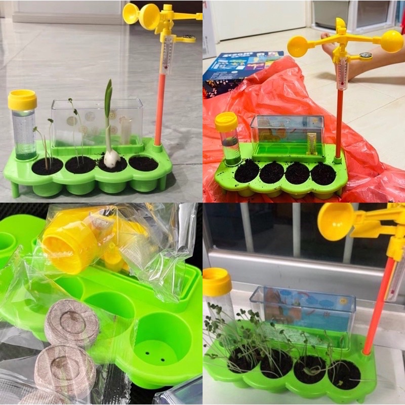 stem toys steam education toys diy project plant maze dino garden mainan bertanam