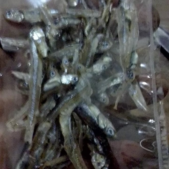 

Ikan Teri Nasi Ikan Timah 1kg PREMIUM