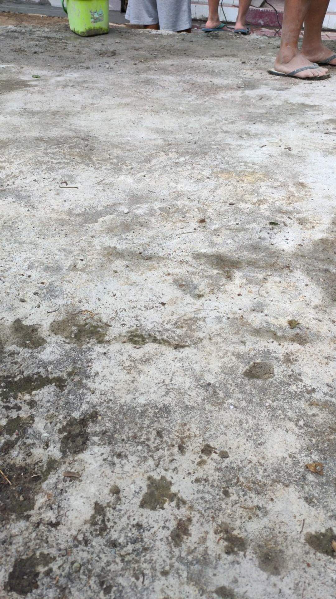 Kemeja Tunik Batik Terbaru 2021