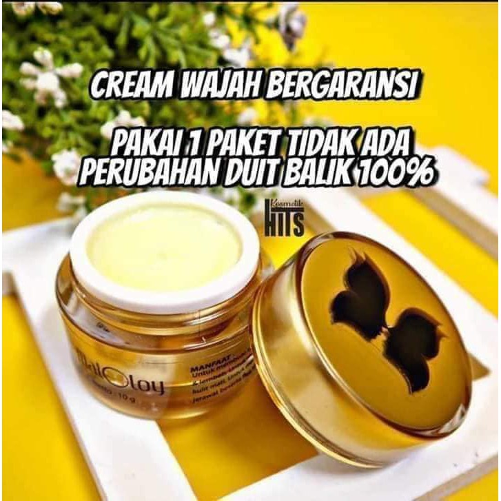 maloloy cream BPOM cerah permanent tidak ada perubahan uang kembali 100% cream viral