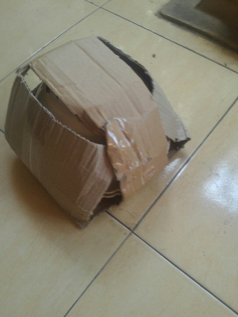 Pot Bunga Gantung Shallom Putih 25cm