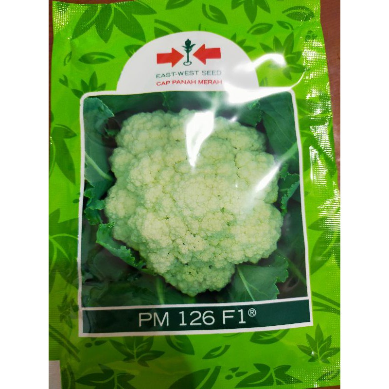 bibit kembang kol pm 126 f1