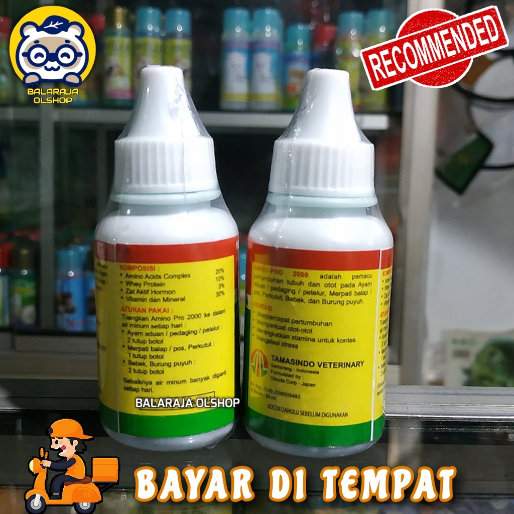 VITAMIN AYAM JAGO PENAMBAH NAFSU MAKAN OBAT BURUNG DARA MERPATI AMINO PRO 2000