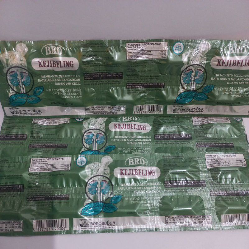 Kejibeling borobudur (STRIP)