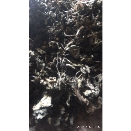 Daun kiurat/sendok kering per500kg