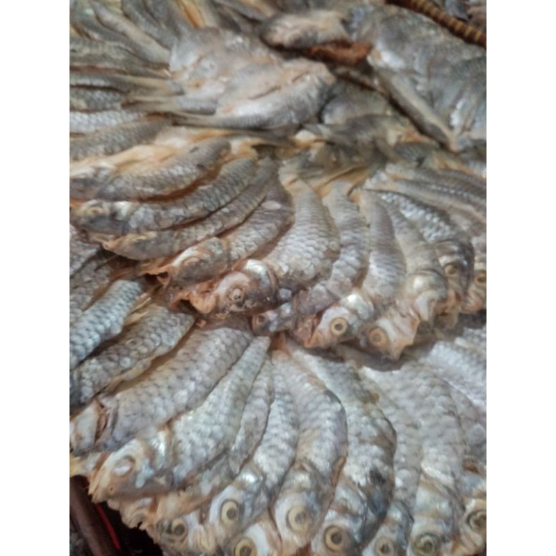 

IKAN ASIN TAWES/NIURAME