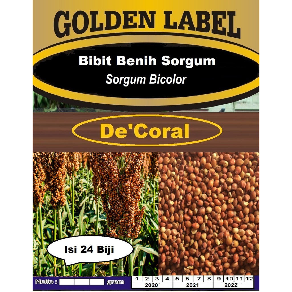 Biji Benih Sorgum | Sorgum Bicolor | Bibit Sorgum