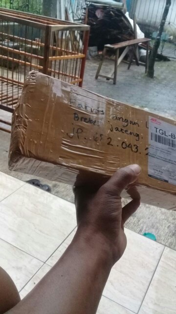 ( Promo) As Gergaji Serkel Ukuran 3/4inch Panjang 30cm