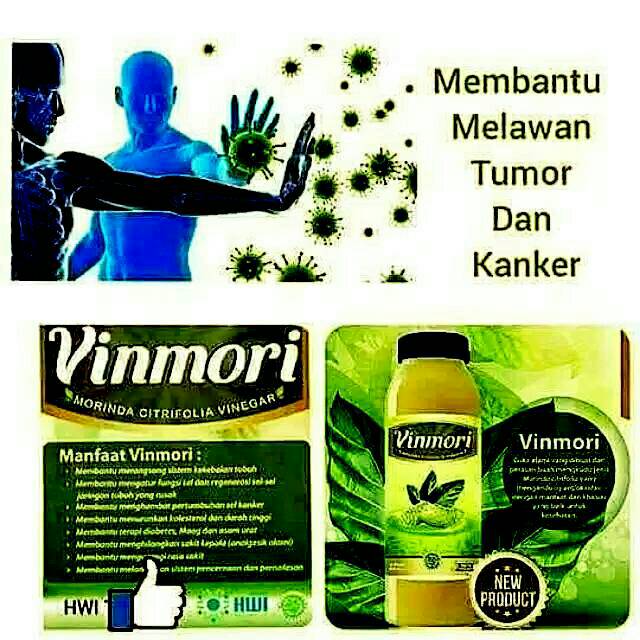 

Vinmori cuka alami untuk kesehatan menurunkan kolestrol 250 ml