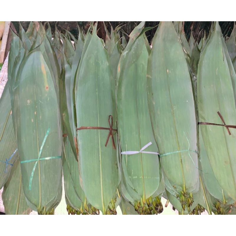 

Daun bambu 1 ikat