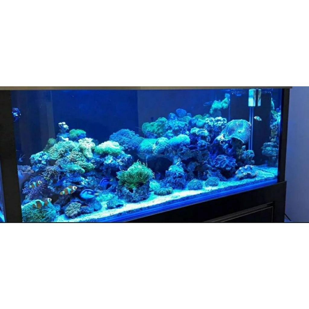 PROMO Lampu aquarium 40cm WARNA BIRU / Lampu Led / Lampu celup / Lampu Akuarium / LAMPU DEKORASI AKUARIUM / Led celup