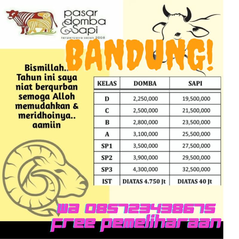 bandung sapi domba qurban