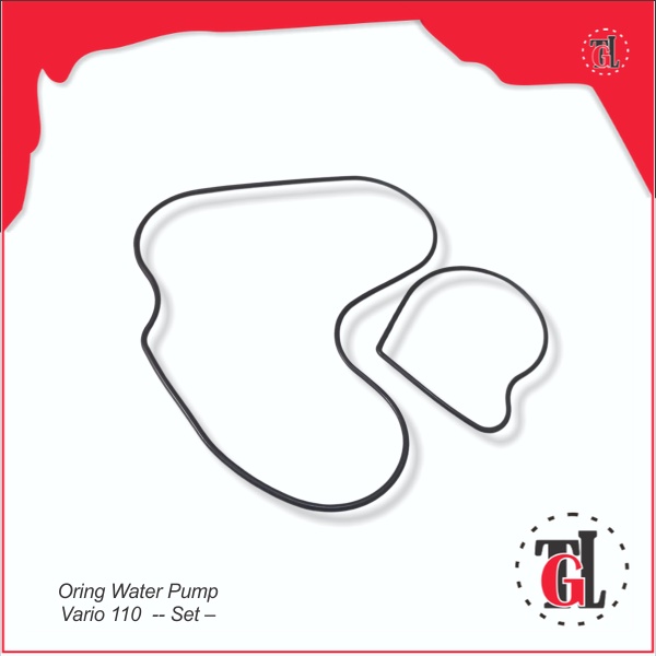 Oring Water Pump Vario 110  -- Set --