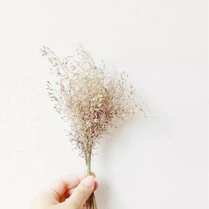 Bunga Sprinkle Grass Kering Dried Flower Background Backdrop Properti Foto Rustic