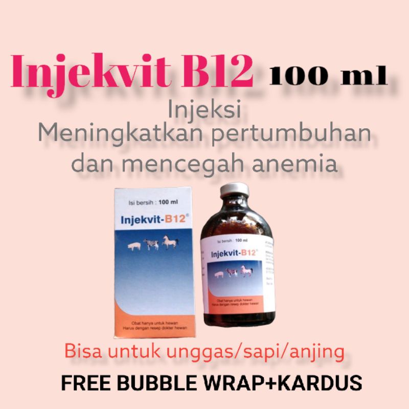 vitamin injekvit B12 100 ml medion-vitamin injeksi B12