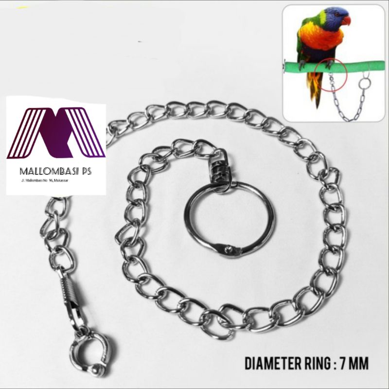 RANTAI RING BORGOL BESI 7mm Burung Nuri Jalak Bali Tekukur Derkuku Puter Pelung