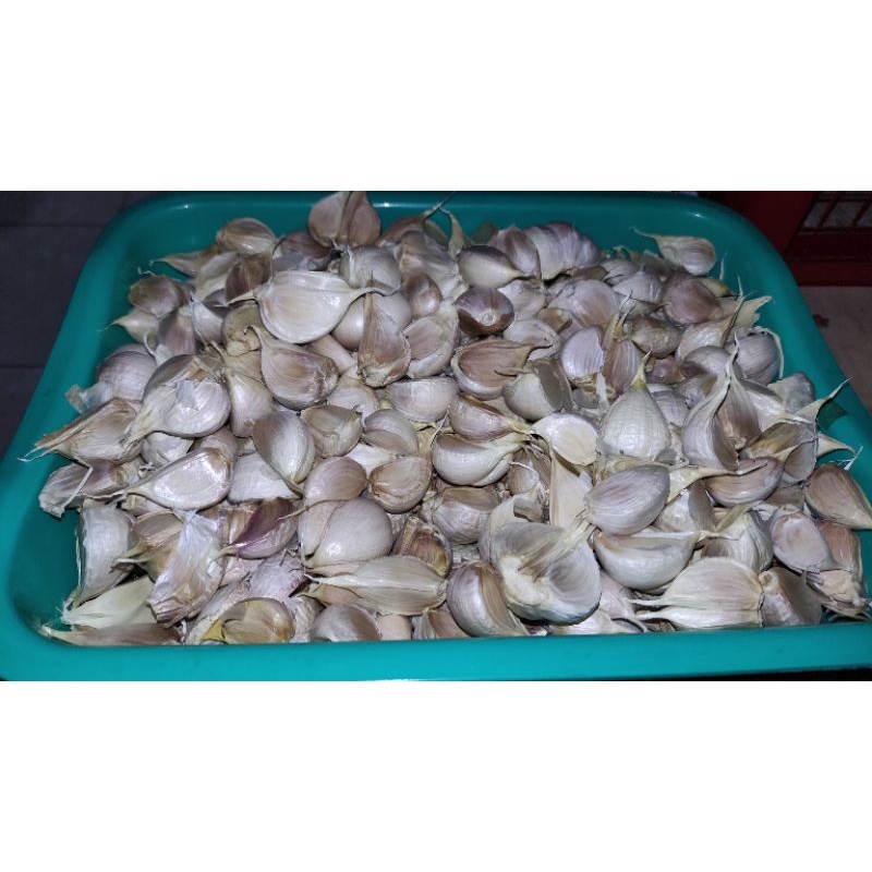 

bawang putih kating 250 gr