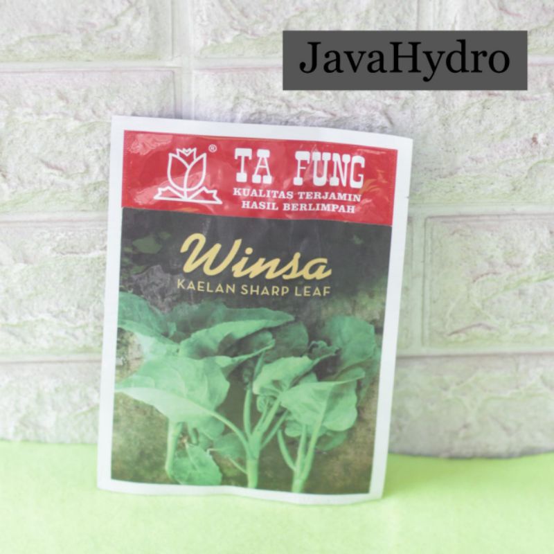 benih biji kailan winsa 20gram kemasan pabrik