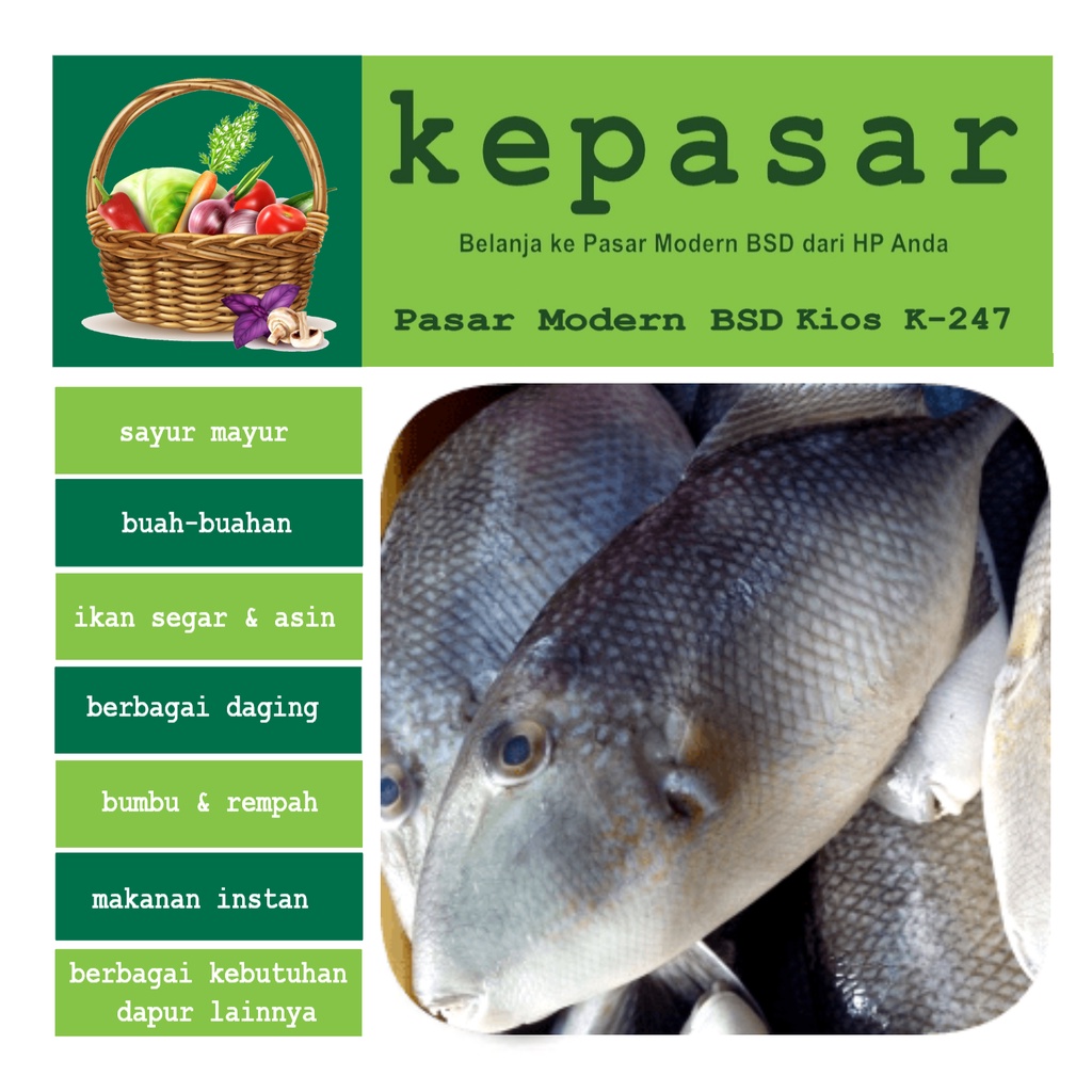 

Ikan Ayam-Ayam 500 g