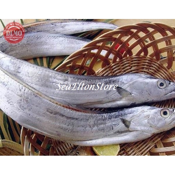 

Ikan Layur Segar Ikan Fresh Laut GARANSI SEGAR