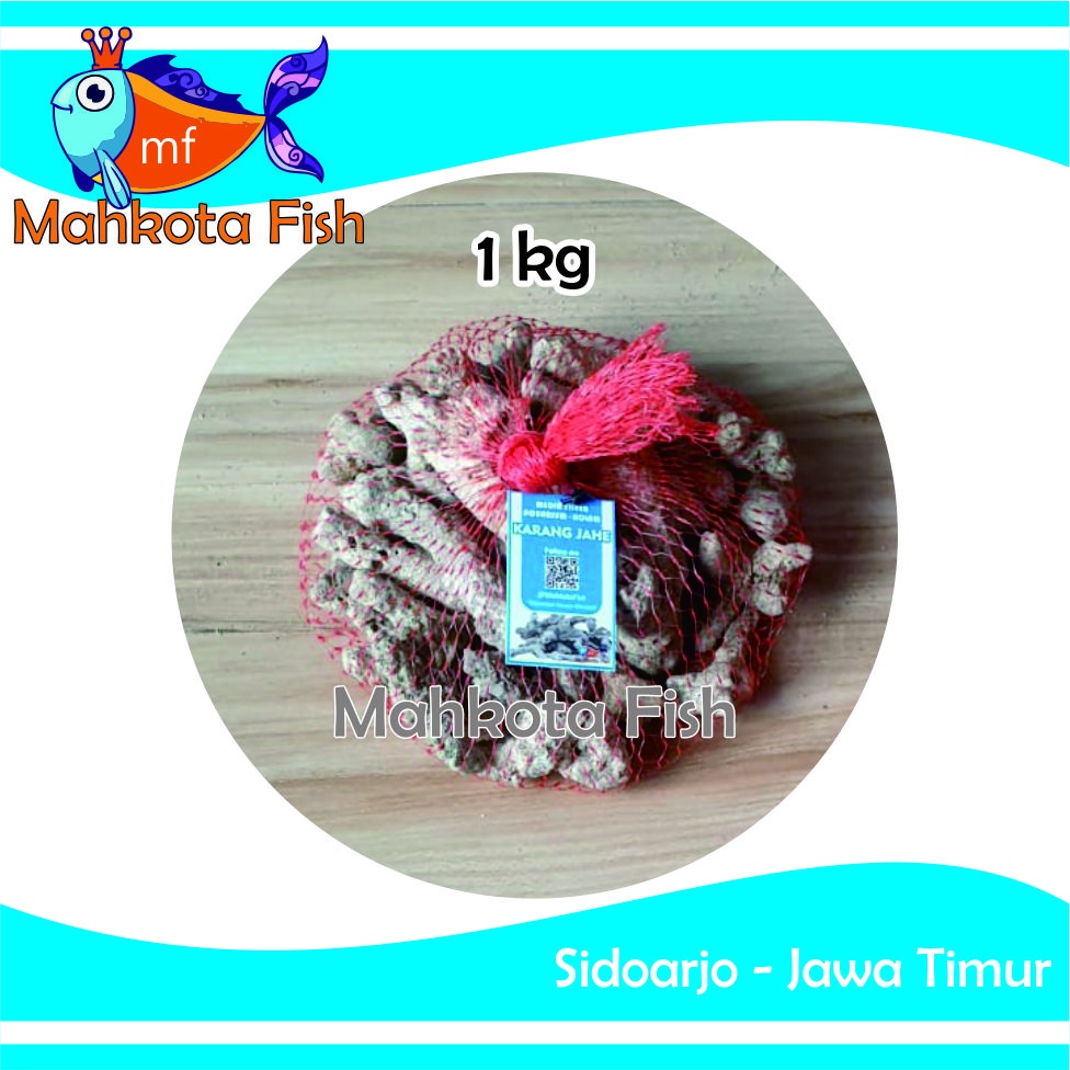 Batu Karang Jahe (1 kg) | Karang Jahe | Media Filter Aquarium Aquascape | Media Filter Kolam