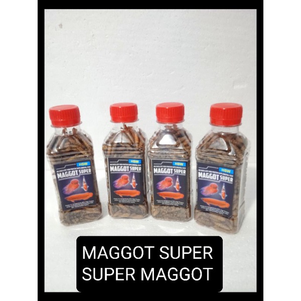 Maggot Super Super Maggot 100gr