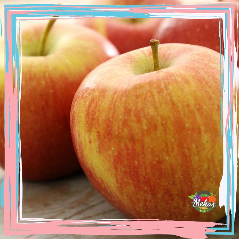 

Apel fuji fresh import per pcs