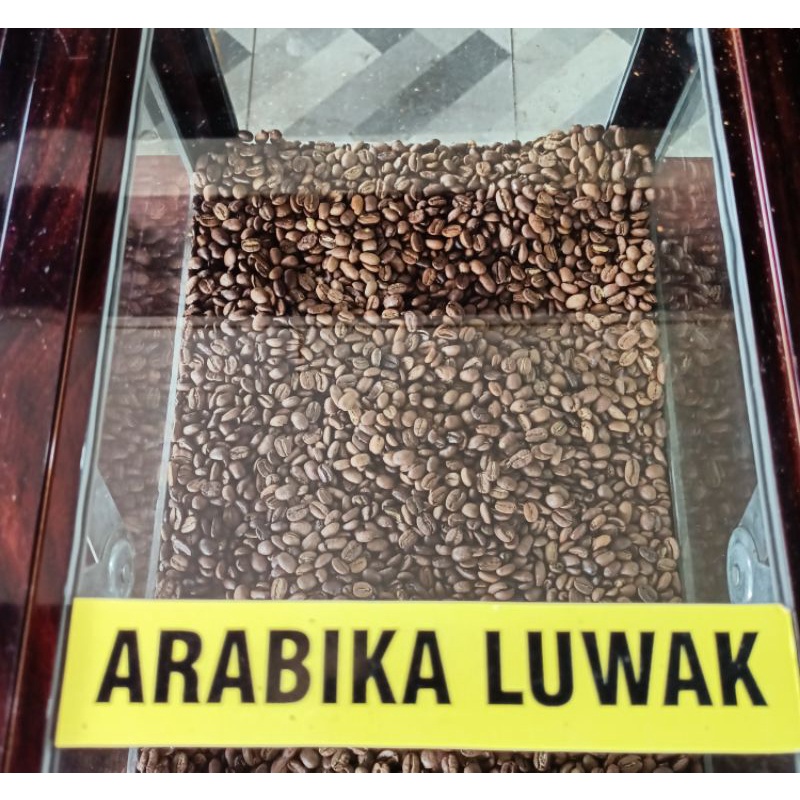 

kopi Gayo Arabika luwak