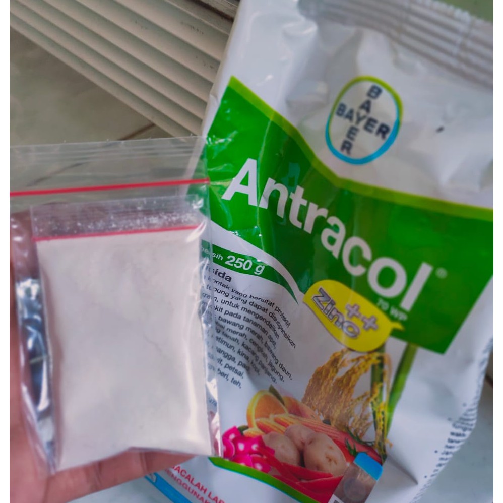 Antracol 70 Wp Zinc Fungisida Shopee Indonesia