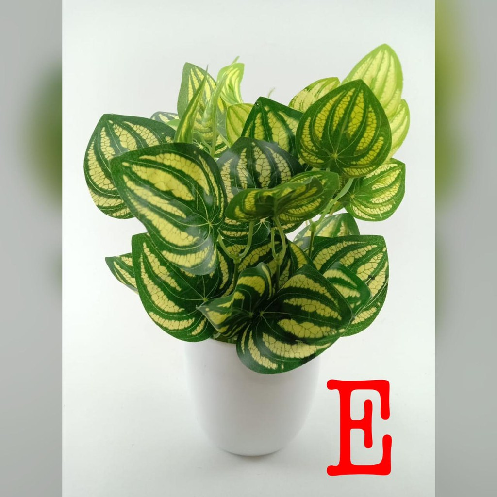 COD TANAMAN HIAS TANAMAN DAUN PLASTIK TANAMAN HIAS RUMAH BUNGA HIAS BUNGA PLASTIK BUNGA BP8844-E