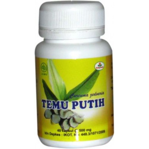 

TEMU PUTIH (Obat Herbal Kapsul)