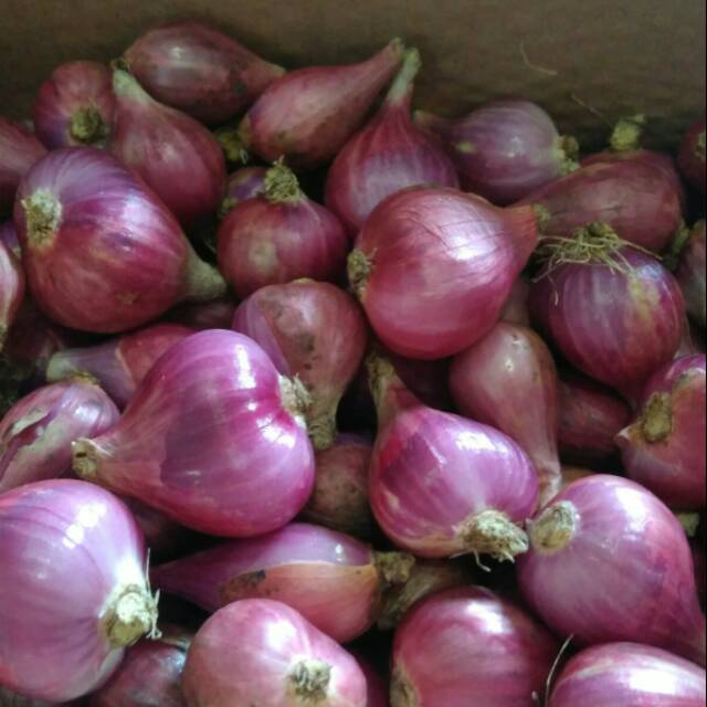 

Bawang merah 1kg