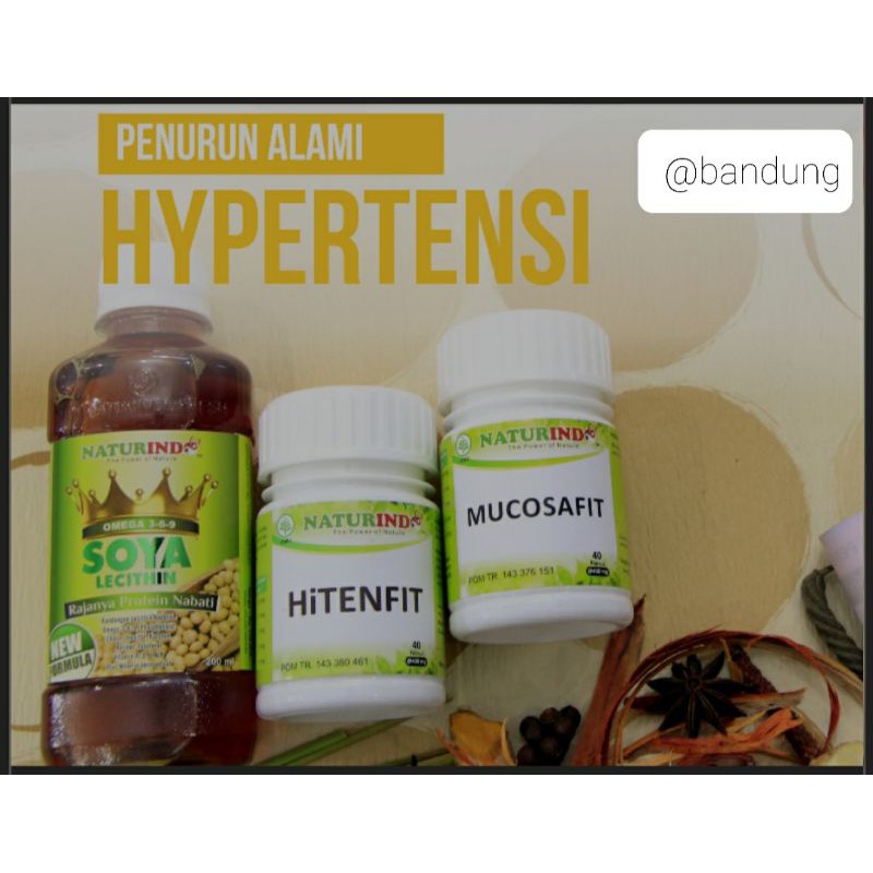 Paket Herbal Penurun Alami Hipertensi Naturindo