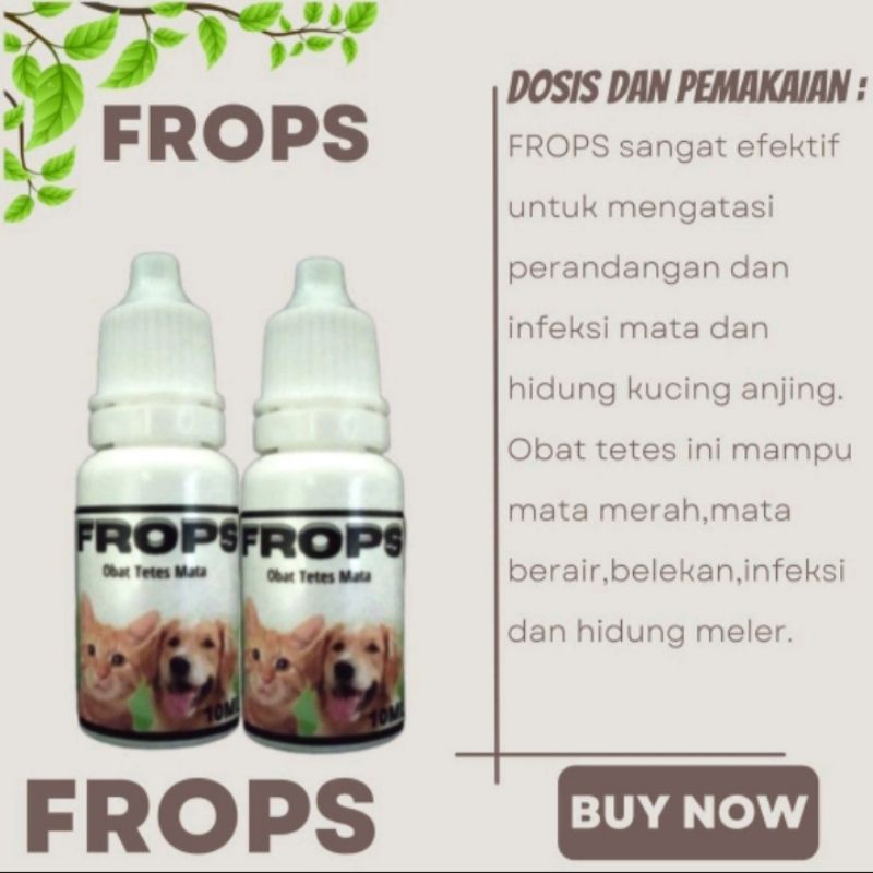 OBAT TETES MATA DAN HIDUNG KUCING ANJING FROPS