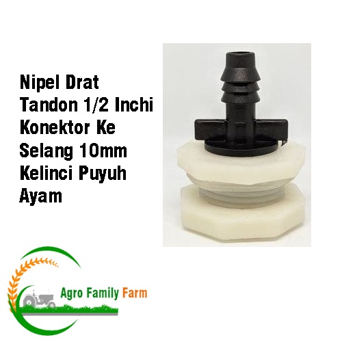 Nepel Drat Tandon 1/2 Inchi Konektor Ke Selang 10mm Kelinci Puyuh Ayam