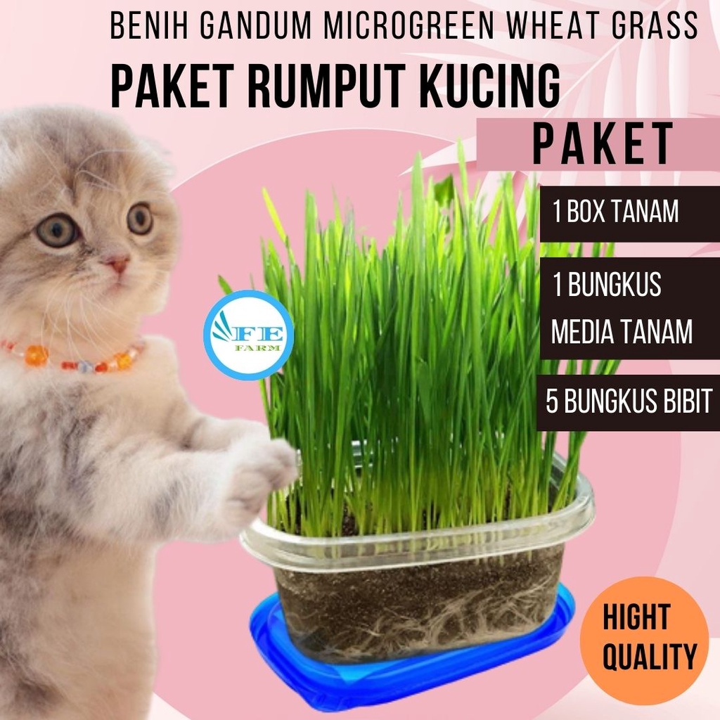 Paket Hemat Cat Grass - Satu Paket Benih Media Tanam FEFARM