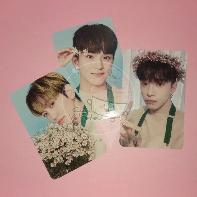 TREASURE TINCASE BLOOMING ASAHI MASHIHO