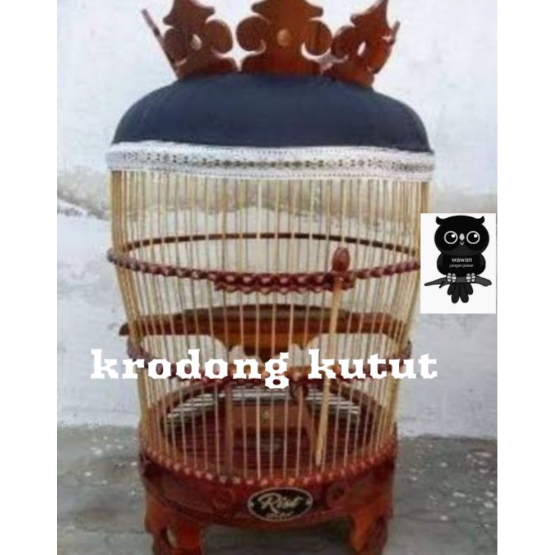 krodong kandang kutut, krodong perkutut