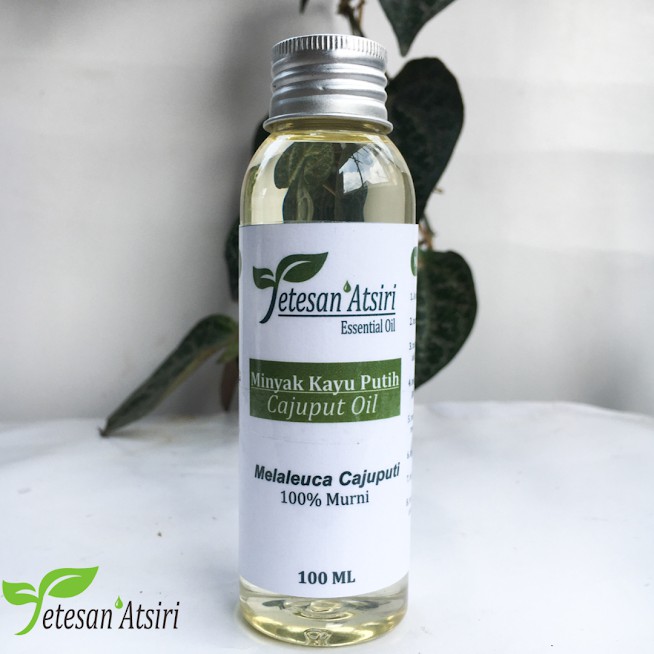 100ml minyak atsiri kayu putih murni 100% cajuput cajeput pure essential oil Tanpa Campuran