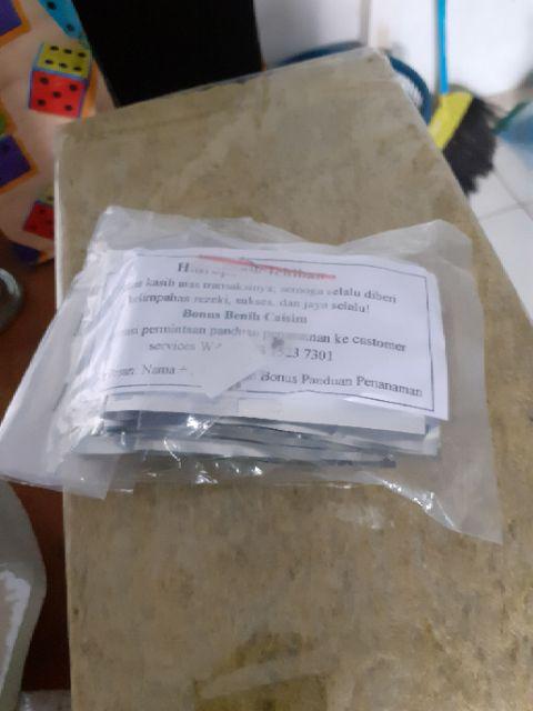 Benih Bibit Biji Terong Torino Ungu Panjang Kemasan Alumunium Foil