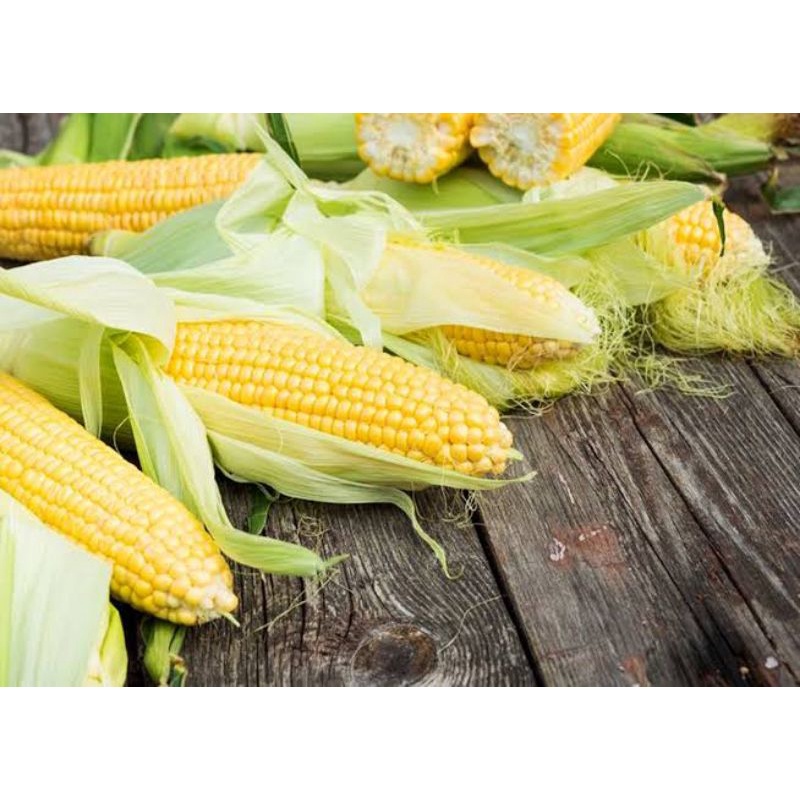 

JAGUNG MANIS [1buah]