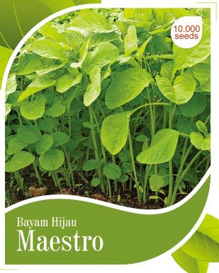 BIbit-Biji Bayam Hijau Maestro - Cap Panah Merah