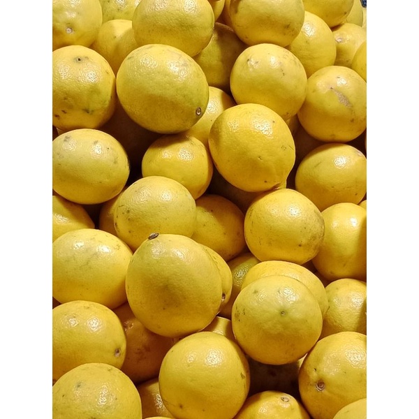 LEMON CALIFORNIA IMPORT