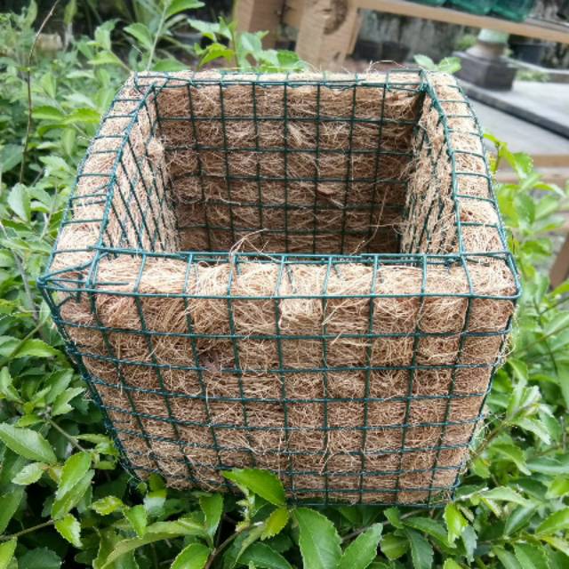 Pot anggrek serabut kelapa