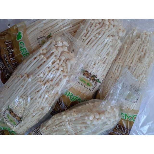 

Jamur Enoki Murah