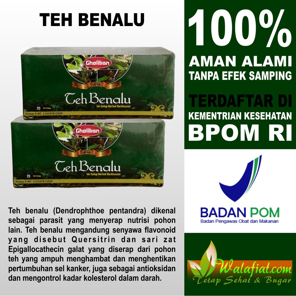 Benalu Teh Celup Gholiban Original Bisa Cod Minuman Herbal Berkhasiat Mengobati Kanker Tumor Kista Shopee Indonesia