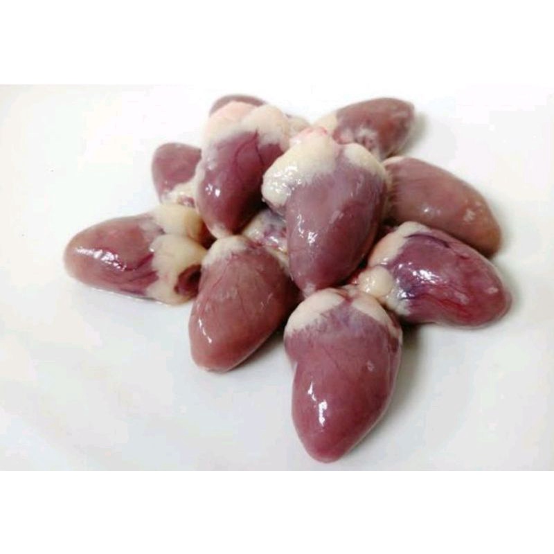 

Jantung Ayam